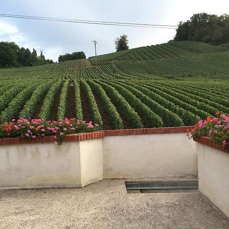 La Loge Du Vigneron Villa Vauciennes  Luaran gambar