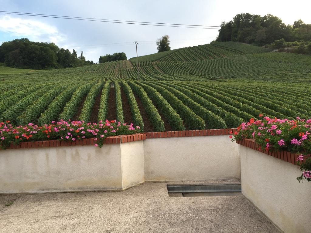 La Loge Du Vigneron Villa Vauciennes  Luaran gambar