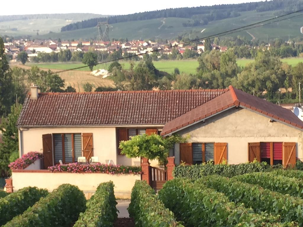 La Loge Du Vigneron Villa Vauciennes  Luaran gambar